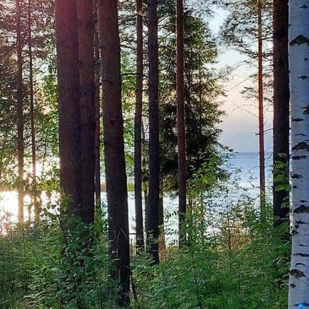 Pulla Karvisen Maatilamatkailussa Ruokola 外观 照片